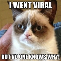 grumpy_cat_viral_meme