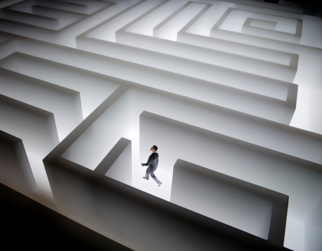 Small Business Leader in a Maze