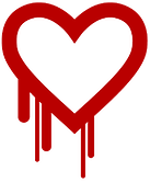 The Heartbleed Bug