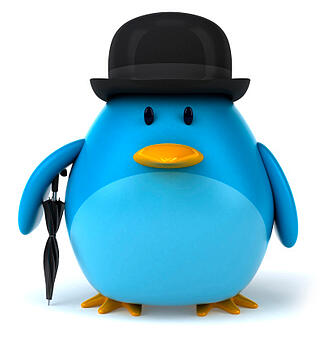 twitter bird