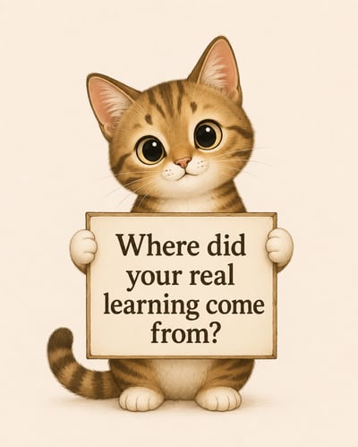 cartoon cat holding sign