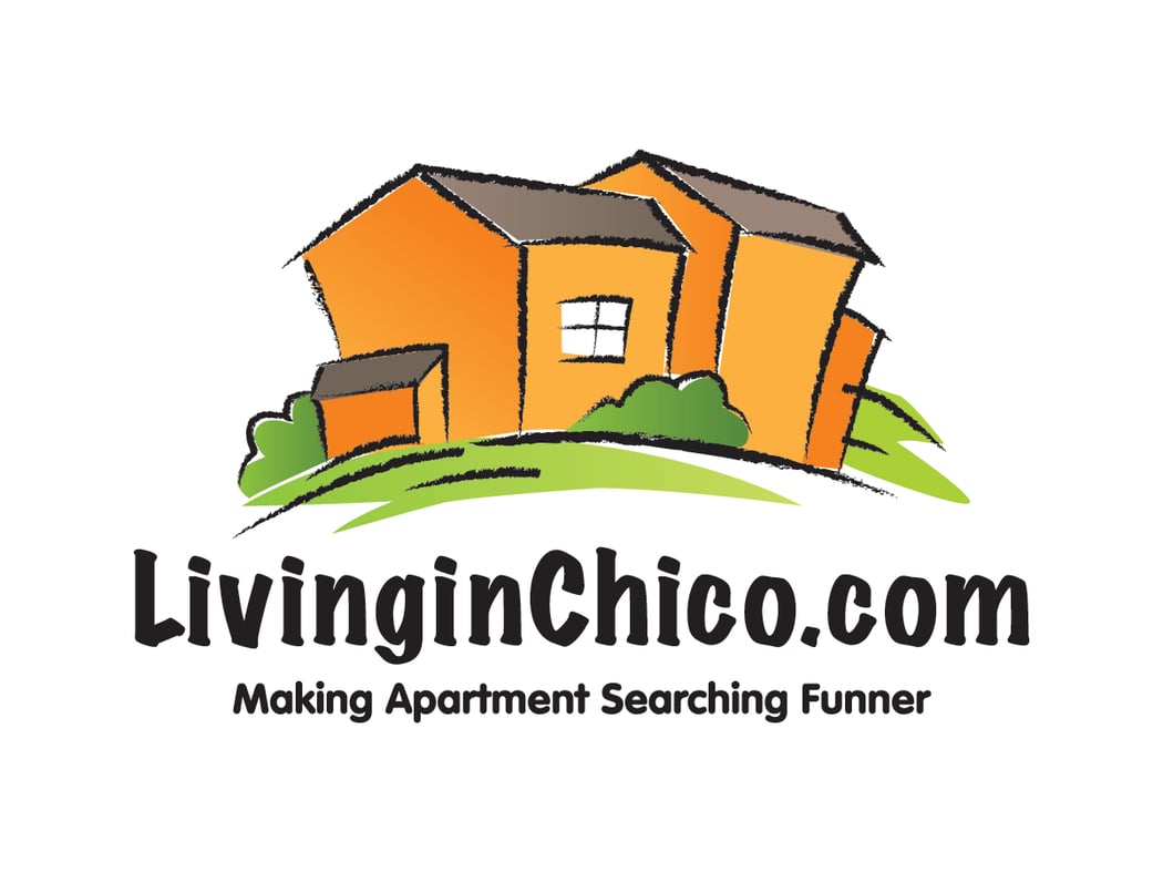 livinginchico-funner-really-is-a-word-client-spotlight